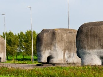 59680427